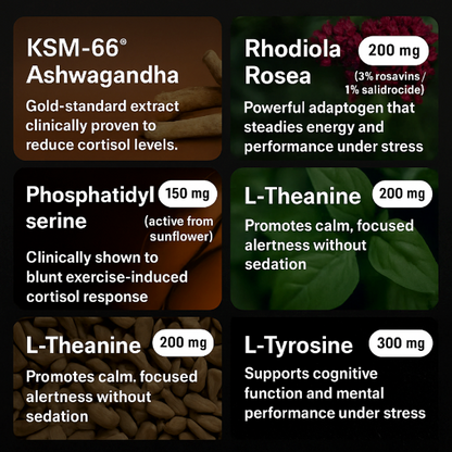 Testolite® T-Guard Complete Bundle