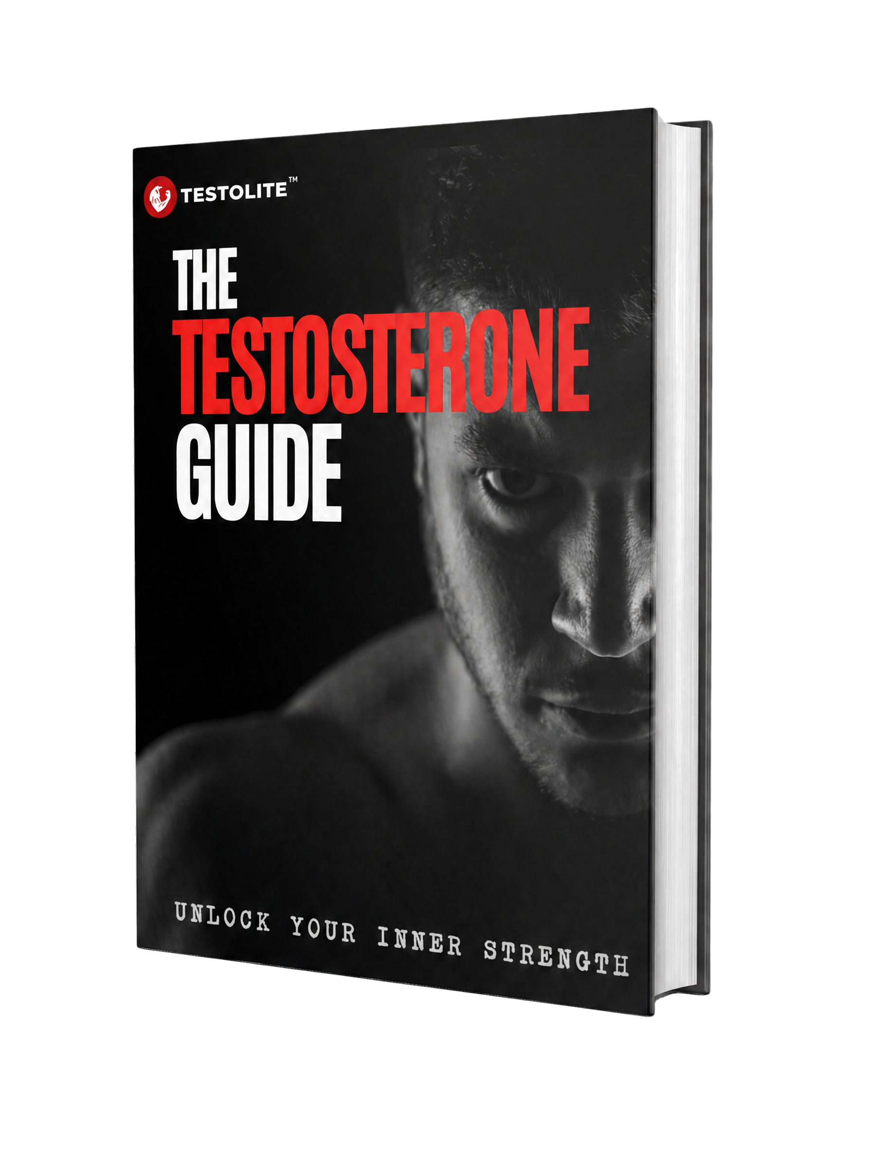 The Complete T Optimization Guide – Testolite